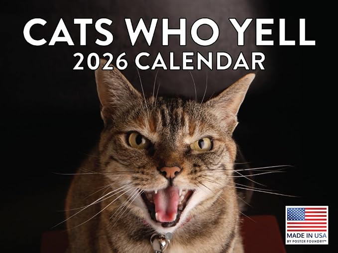 Cats Who Yell Calendar 2026 Monthly Wall Calender 12 Month | American Made In The USA