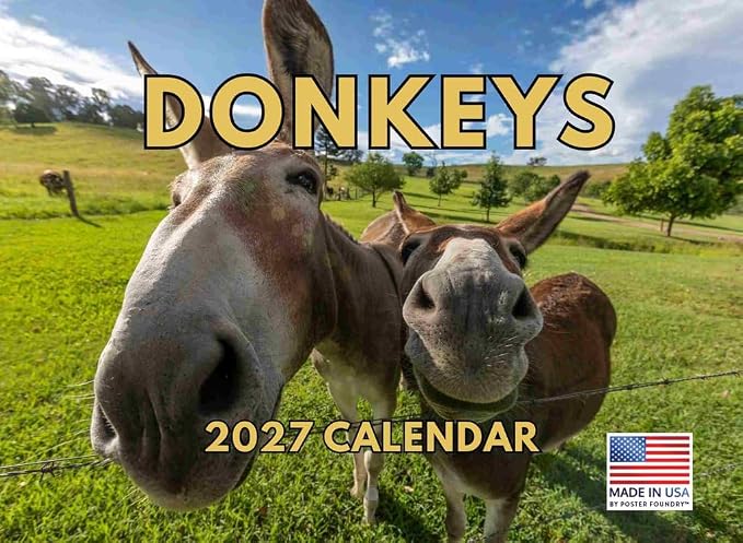 Donkey Calendar 2027 Monthly Wall Calender 12 Month