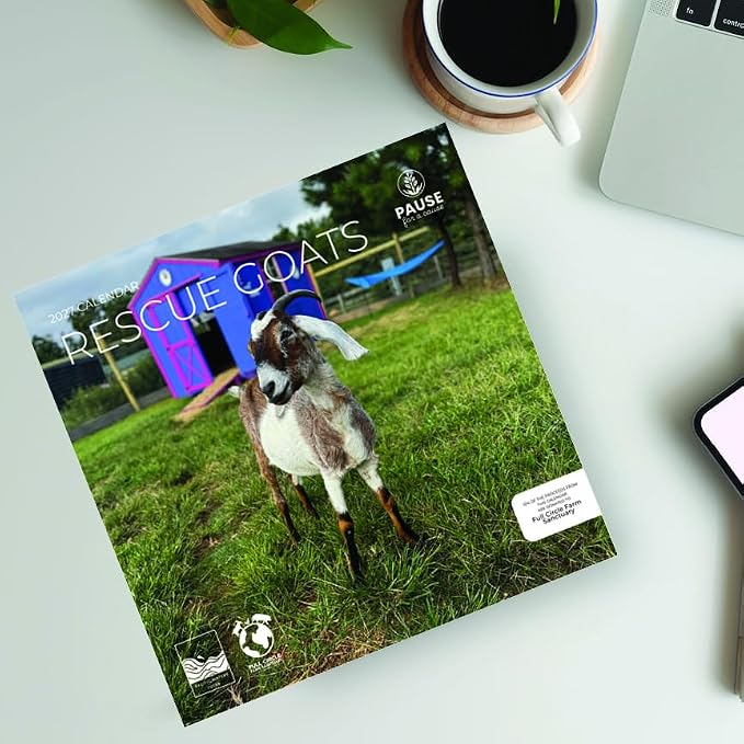 Rescue Goats 2027 Wall Calendar, 12 x 24 Hanging Pacific Waters Press