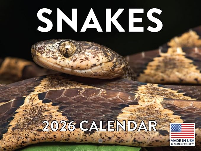 Snake Calendar 2026 Snakes Monthly Wall Calender 12 Month | American Made In The USA
