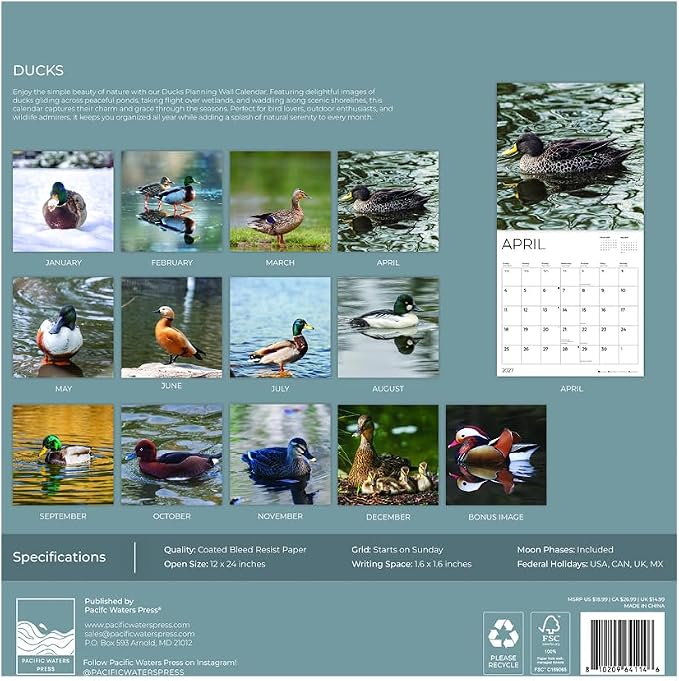Ducks 2027 Wall Calendar, 12 x 24 Hanging Pacific Waters Press