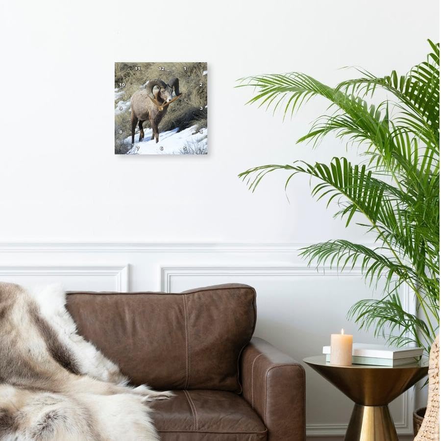 3dRose Wall Clock Silent - 13 inch - Rocky Mountain Bighorn Sheep ram. - Animals