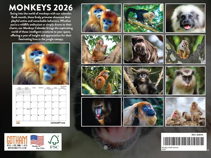 Monkey Calendar 2026 Monthly Wall Calender 12 Month | American Made In The USA