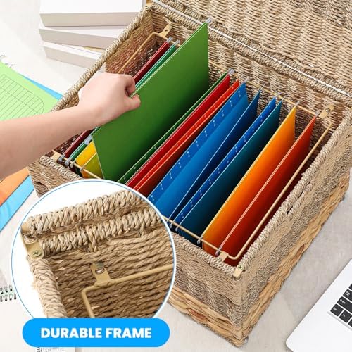Cinnvoice Extra Large Decorative File Box 18 x 16 x 13 in Wicker Seagrass File Basket Organizer for Letter Legal Size Hand Woven Hanging Filing Cabinet with Lid for Office Water Hyacinth, Tricolor