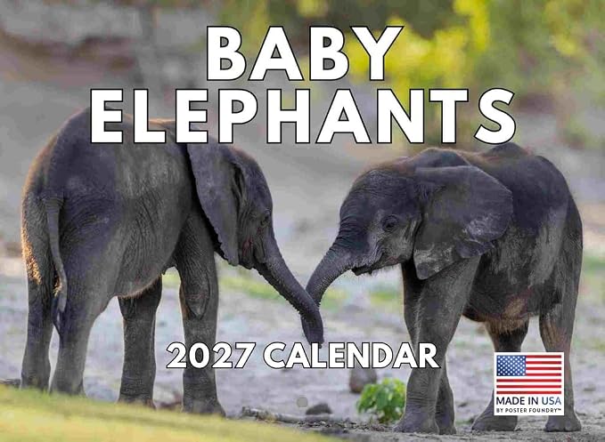 Baby Elephant Calendar 2027 Monthly Wall Calender 12 Month