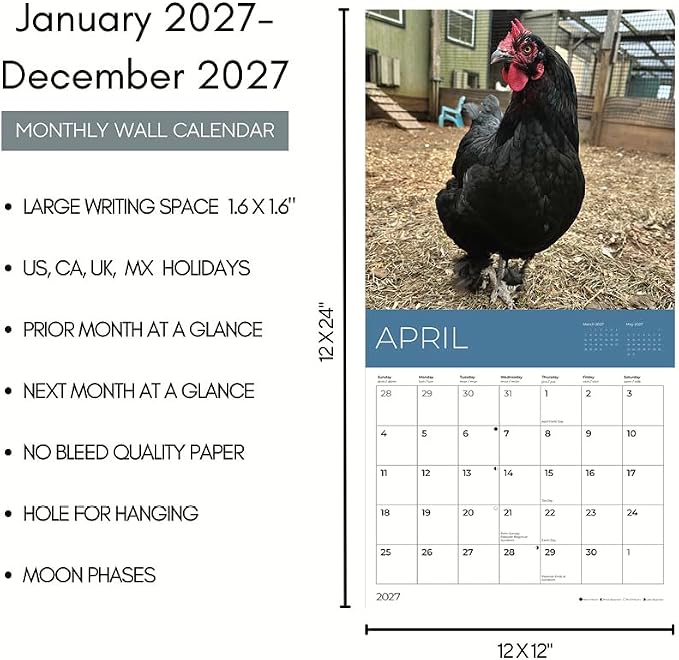 Rescue Chickens 2027 Wall Calendar, 12 x 24 Hanging Pacific Waters Press