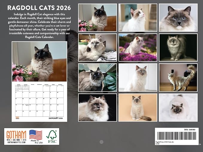 Ragdoll Cat Calendar 2026 Monthly Wall Calender 12 Month | American Made In The USA