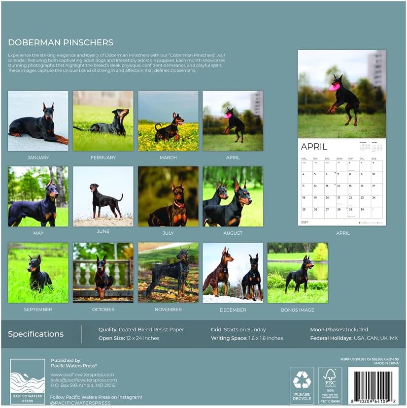 Doberman Pinschers 2027 Wall Calendar, 12 x 24 Hanging Pacific Waters Press