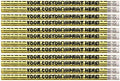 Express Pencils™ Personalized Custom Pencils - Round - Glitz & Glitter Foil - Full Color Print w/your name, message, text or logo - Includes Personalization - Great gift ideas - 12/Set (GOLD PRISM)