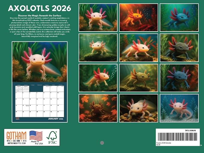 Axolotl Calendar 2026 Monthly Wall Calender 12 Month | American Made In The USA