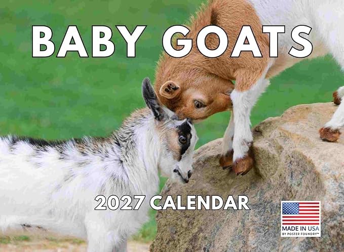 Baby Goat Calendar 2027 Monthly Wall Calender 12 Month