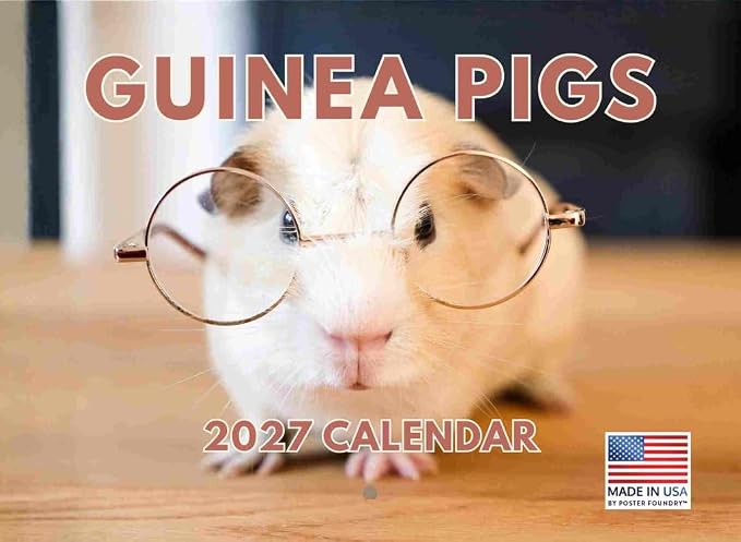 Guinea Pig Calendar 2027 Monthly Wall Calender 12 Month