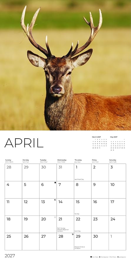 Bucks 2027 Wall Calendar, 12 x 24 Hanging Pacific Waters Press
