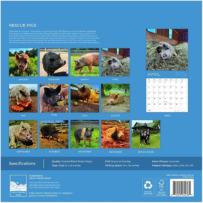 Rescue Pigs 2027 Wall Calendar, 12 x 24 Hanging Pacific Waters Press