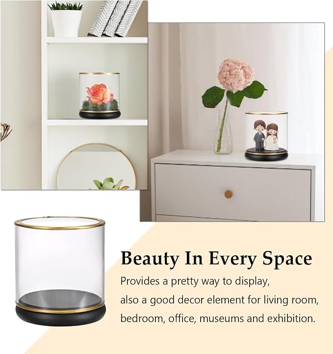 Hipiwe Vintage Display Case Clear Collectibles Showcase with Black Wooden Base Gold Frame Keepsake Box for Plants Action Figurine Models, Cylinder, 4 x 4 x 4.3 Inch