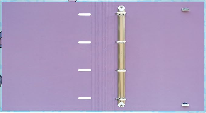 Grupo Erik Disney Stitch 4 Ring Binder A4 - Stationery Gifts, Merchandise | A4 Folder with Elastic closure, School Folders for Paperwork A4, Back to School Supplies | Disney Stitch Merch, Gift