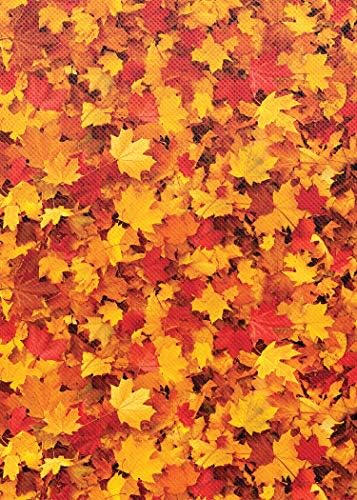 Teacher Created Resources Fall Leaves Better Than Paper® Bulletin Board Roll (TCR77497)