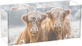Cattle Highland Cow Acrylic Pen Holder 4 Compartments with Prints, Desktop Makeup Brush Organizer Cutlery Acrylic Organizer Pencil Plastic Organizer Personalized Printed Pen Holder