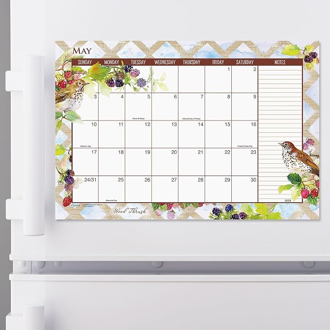 Current 2026-2027 Year of Birds Desk Calendar Pad, 11-Inch x 16-1/4-Inch Size, Large 24-Month Bookstore-Quality Calendars for Kitchen & Office