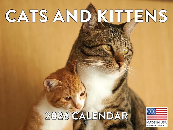Cats And Kittens Calendar 2026 Monthly Wall Calender 12 Month | American Made In The USA