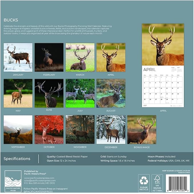 Bucks 2027 Wall Calendar, 12 x 24 Hanging Pacific Waters Press