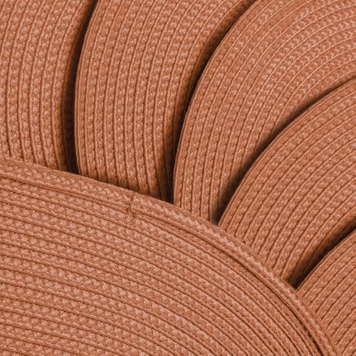 AHHFSMEI Placemats Set of 6 for Dining Table Washable Woven Non-Slip 18x12 inches Placemat Heat-Resistant Durable Table Mats for Dining Table Easy to Clean (Burnt Orange 6)