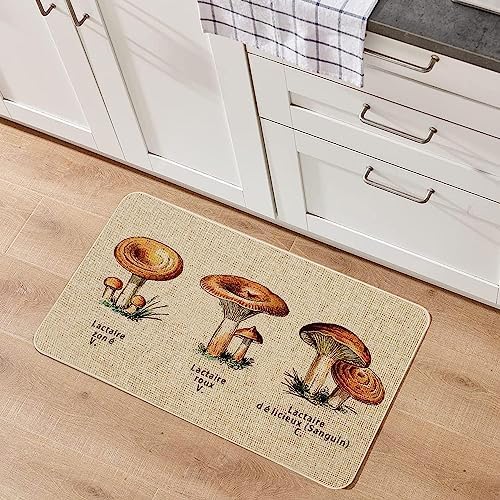 Mloabuc Kitchen Rugs and Mats,Washable Non-Slip Floor Mats Door Mat