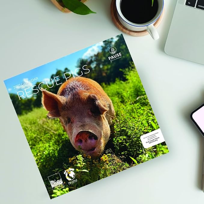 Rescue Pigs 2027 Wall Calendar, 12 x 24 Hanging Pacific Waters Press