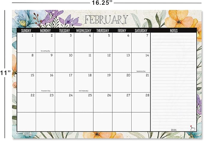 Current 2026-2027 Meadow Dance Desk Calendar Pad, 11-Inch x 16-1/4-Inch Size, Large 24-Month Bookstore-Quality Calendars for Kitchen & Office