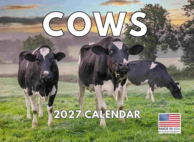 Cow Calendar 2027 Monthly Wall Calender 12 Month
