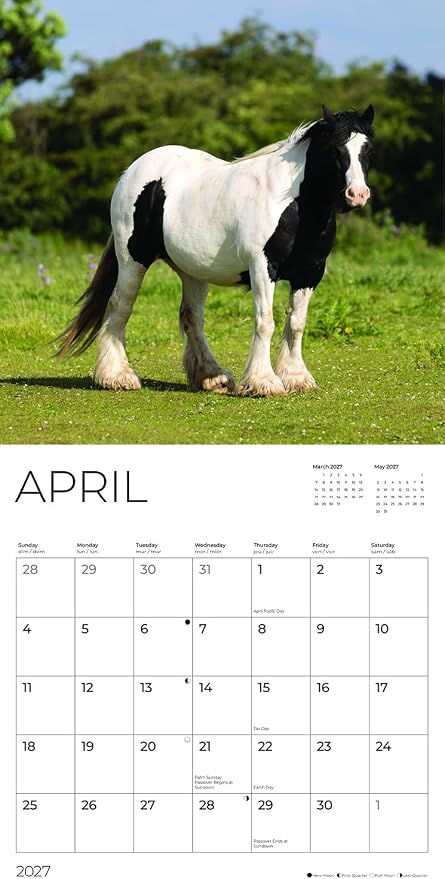 Horses 2027 Wall Calendar, 12 x 24 Hanging Pacific Waters Press