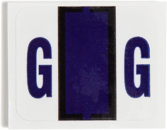 Smead BCCR Bar-Style Color-Coded Alphabetic Label, G, Label Roll, Violet, 500 Labels per Roll, (67077)