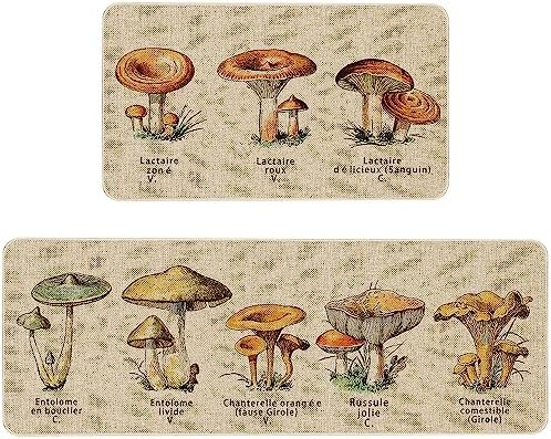 Kitchen Rugs and Mats Set of 2,Floor Mats for Home Kitchen Decor Mat