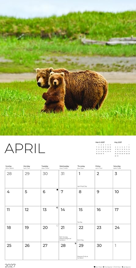 Baby Animals & Their Mother 2027 Wall Calendar, 12 x 24 Hanging Pacific Waters Press