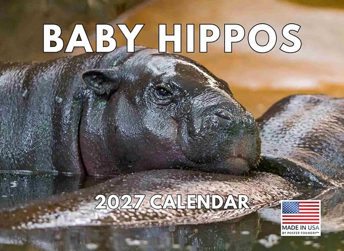 Baby Hippo Calendar 2027 Monthly Wall Calender 12 Month