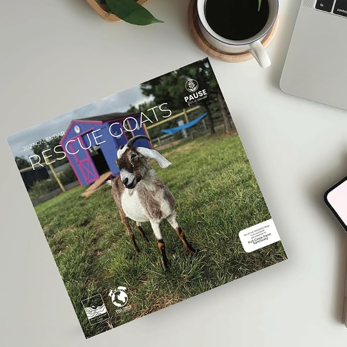 Rescue Goats 2027 Wall Calendar, 12 x 24 Hanging Pacific Waters Press