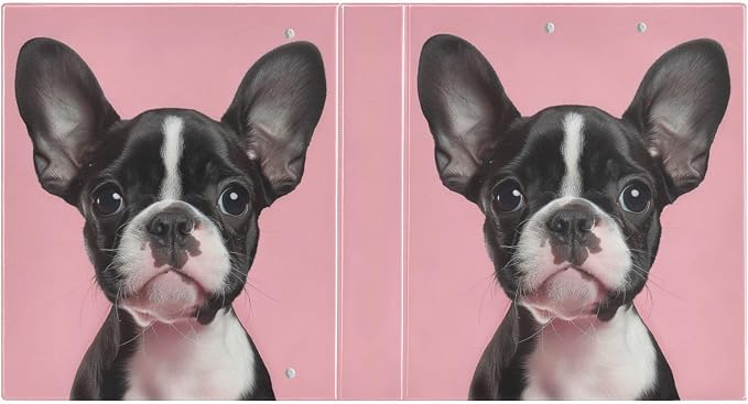 3 Ring Binder 1.5 Inch Boston Terrier Puppies Dog Pink Clipboards Binders with Interior Pockets Round Ring Binder for Office Supplies and School 1 Pack