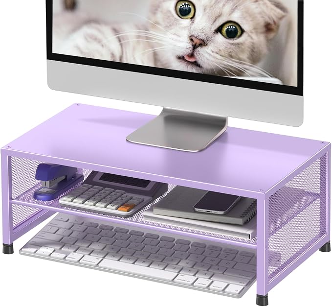 ECOLOVI 2-Tier Computer Monitor Stand Riser, Printer & Laptop Stand, Office Desk Accessories, Workspace Desk Organizer for Home Office Supplies, Purple