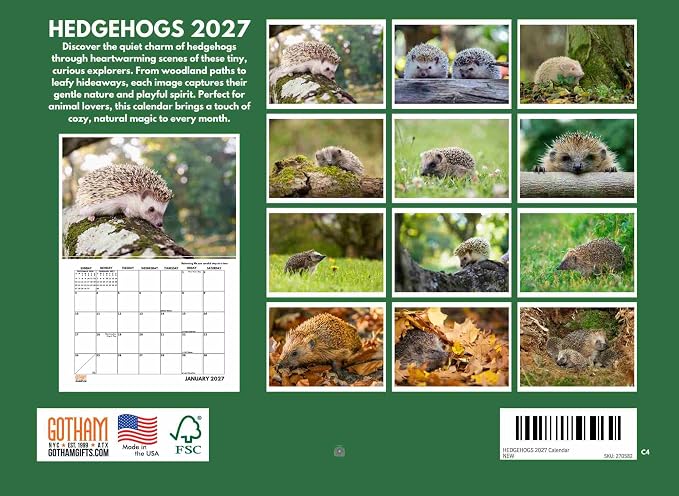 Hedgehog Calendar 2027 Monthly Wall Calender 12 Month