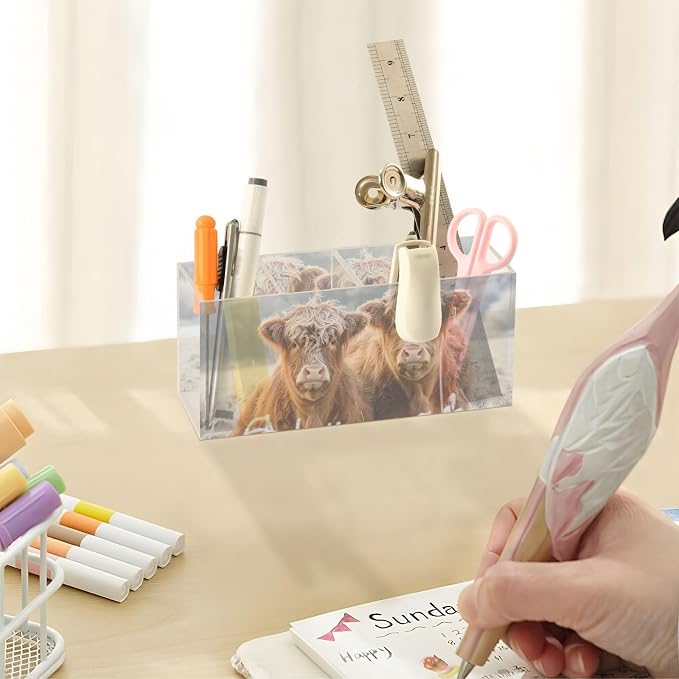 Cattle Highland Cow Acrylic Pen Holder 4 Compartments with Prints, Desktop Makeup Brush Organizer Cutlery Acrylic Organizer Pencil Plastic Organizer Personalized Printed Pen Holder
