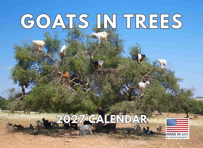 Goats In Trees Calendar 2027 Goat Monthly Wall Calender 12 Month