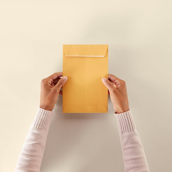 Amazon Basics Self Seal Catalog Mailing Envelopes for Documents, Peel and Seal, Brown Kraft, 250 Count, 6x9 inch (Pack of 2)