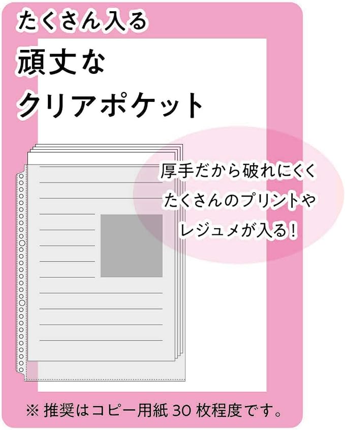 Maruman Session 30-Ring Binder, 5 Tab Dividers, A4, 8.27"x11.69", Blue | Flexible Translucent Cover, Holds Up To 90 Sheets, Erasable Tabs, Storage Pocket, For Loose-Leaf Organization, Made in Japan