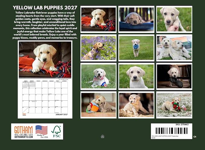 Yellow Lab Puppy Calendar 2027 Monthly Wall Calender 12 Month
