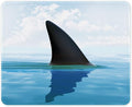 Auhoahsil Mouse Pad, 12 x 10 in Oceans Theme Computer Mouse Pad for Desk, Premium-Textured Non-Slip Rubber Stitched Edges Waterproof Square Mouse Mat for Gaming Work Wireless Mice, Shark