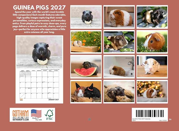 Guinea Pig Calendar 2027 Monthly Wall Calender 12 Month