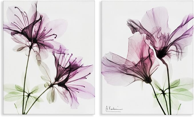 Stupell Industries 'Purple Flower Bloom Design', 2pc Canvas Art Set 2, 24 x 30 Inches, Easy to Hang and Sturdy, Made in USA, by Albert Koetsier | Stupell Industries | 24 x 30 Inches, Easy to Hang and Sturdy, Made in USA, by Albert Koetsier