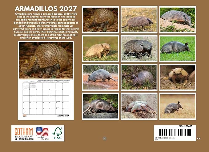 Armadillo Calendar 2027 Monthly Wall Calender 12 Month