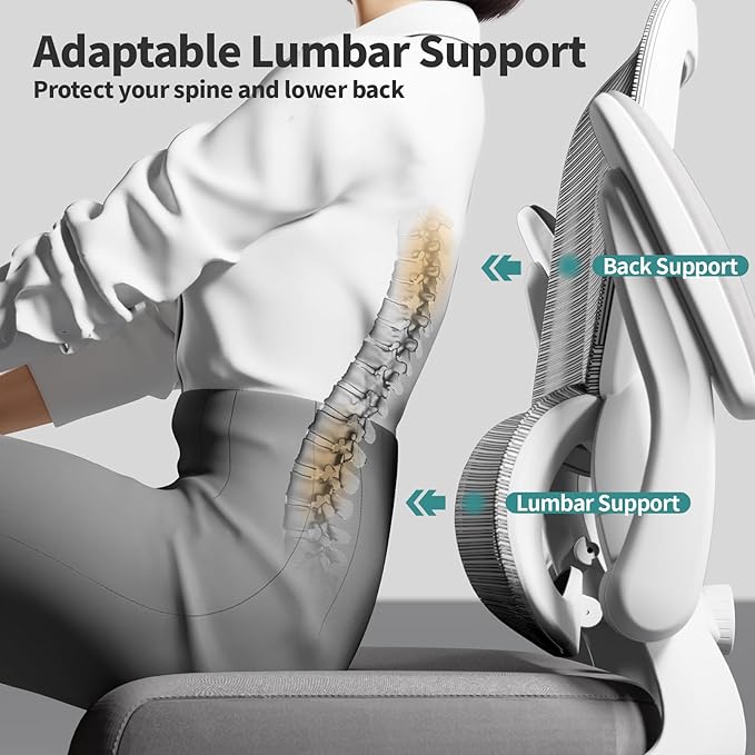 TRALT Office Chair - Ergonomic Desk Chair with Adjustable Lumbar Support, Mesh Computer Chair, Executive Chair for Home Office Comfortable Lumbar Support (1, Ash Gray)