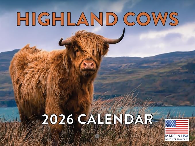 Highland Cow Calendar 2026 Scottish Cows Gifts For Highland Cow Lovers Hyland Hairy Coo Monthly Wall Calender 12 Month | American Made In The USA